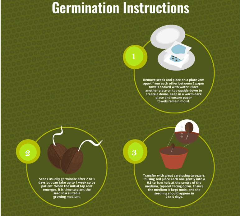 germination instructions_1